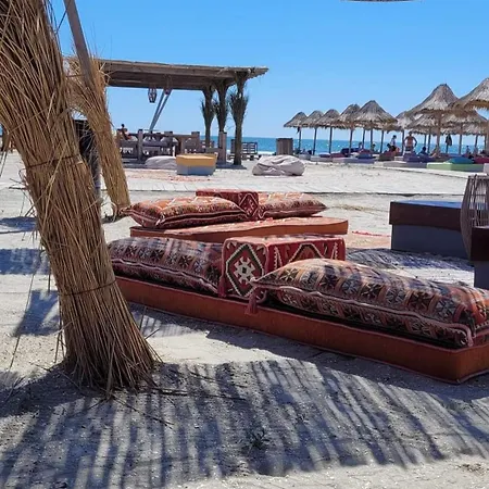 The Great Sofi A6 * Năvodari