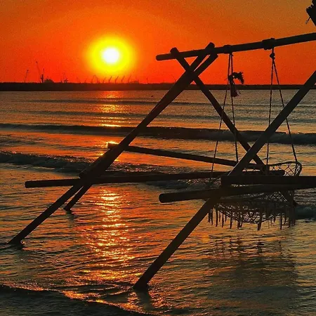 The Great Sofi A6 * Năvodari